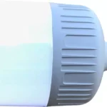 Bec LED E27 230V 30W 6400K A100 HighPower 2400lm TED